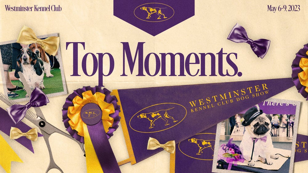 2023 Westminster Dog Show: Group winners, top moments