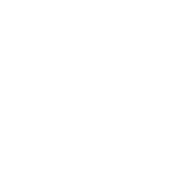 THE SKIP BAYLESS SHOW